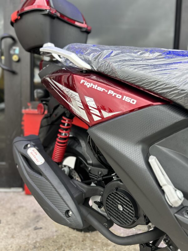 Fighter Pro 150 - Image 3